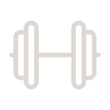 Horsepower icon
